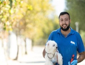 İzmir’de el konulan 20 cins köpek Işıkkent Köpek Bakımevi’nde