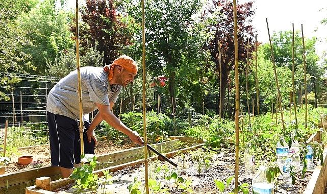 Kadıköy Bostanları’nda Kış Devri İçin Kayıtlar Başladı