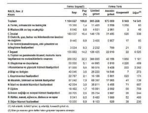 Kesim Bilançoları, 2024