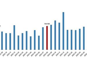 Konut Satış İstatistikleri, Ağustos 2025