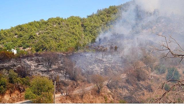 Lider Vekili Özdemir yangın bölgesinde