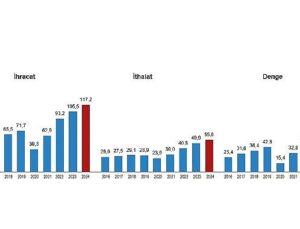 Memleketler arası Hizmet Ticareti İstatistikleri, 2024