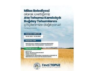 Milas Belediyesi’nden Üreticilere Karakılçık Buğday Tohumu Dayanağı