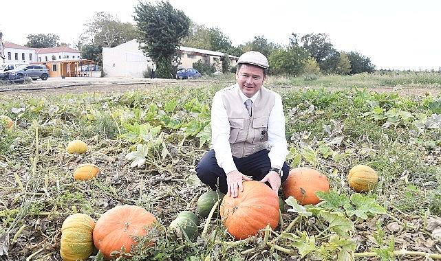 Osmangazi Belediyesi cet tohumlarını geleceğe taşıyor