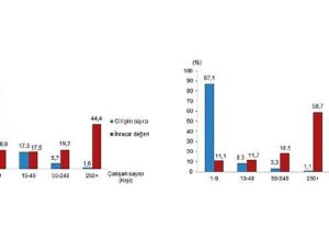 Teşebbüs Özelliklerine Nazaran Dış Ticaret İstatistikleri, 2024