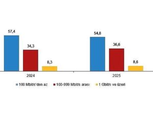 Teşebbüslerde Bilişim Teknolojileri Kullanım Araştırması, 2025