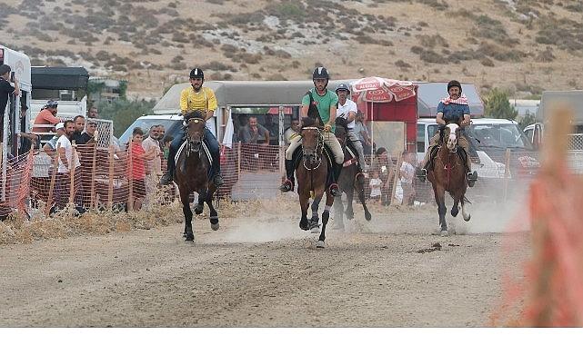 Türkiye’nin en başarılı atları Menemen’de yarışacak
