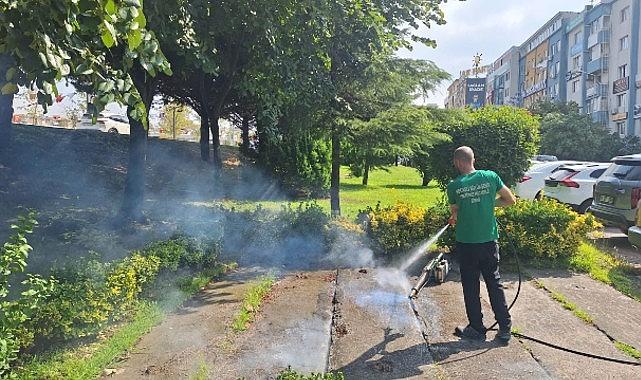 Vektörle uğraşa güçlü takviye