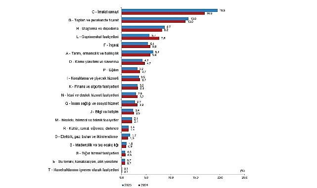 Yıllık Gayrisafi Yurt İçi Hasıla, 2024
