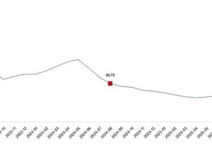 Yurt İçi Üretici Fiyat Endeksi, Ağustos 2025
