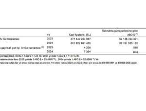 Araştırma-Geliştirme Faaliyetleri Araştırması, 2024