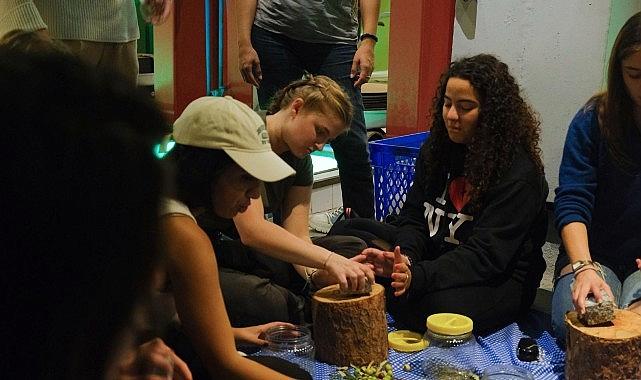 Ayvalık’ta Memleketler arası Gençlik Projesi Kapsamında Zeytin Kültürü Tecrübesi