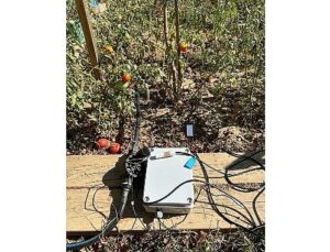 BİLGİ’li öğrencilerden sürdürülebilir tarıma katkı: Elektronik Denetimli Damla Sulama Sistemi