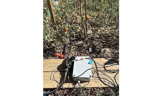 BİLGİ’li öğrencilerden sürdürülebilir tarıma katkı: Elektronik Denetimli Damla Sulama Sistemi