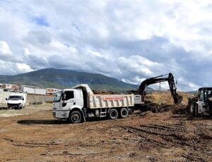 Bornova Misketi köklerine dönüyor