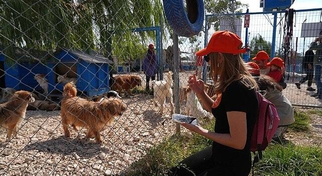 Borusan Pati Elçileri’nden sokağa terk edilmiş can dostlara mama, esirgeyici aile ve sahiplendirme takviyesi