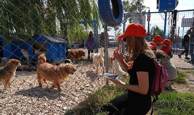 Borusan Pati Elçileri’nden sokağa terk edilmiş can dostlara mama, kollayıcı aile ve sahiplendirme takviyesi