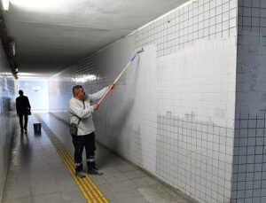 Çiğli’de sonbahar bakımı: Ağaçlar budanıyor, kent güzelleşiyor