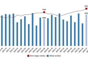 Dış Ticaret Endeksleri, Ağustos 2025