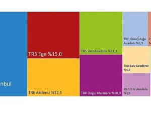Hanehalkı Tüketim Harcaması (Bölgesel), 2024