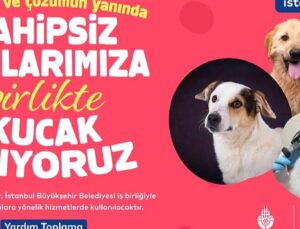 İstanbul Vakfı’ndan Sahipsiz Can Dostlarımıza Destek Çağrısı