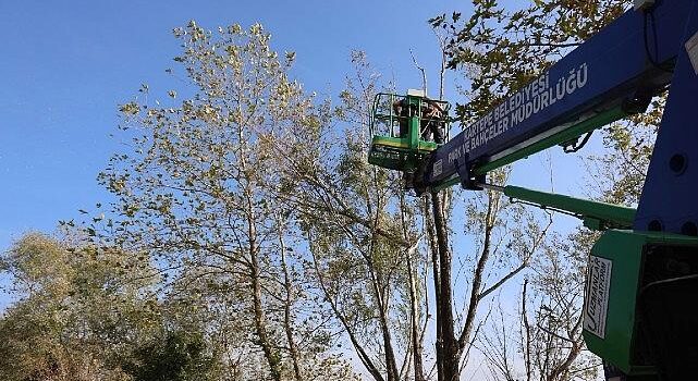 Kartepe’de Yeşil Alanlara Bakım