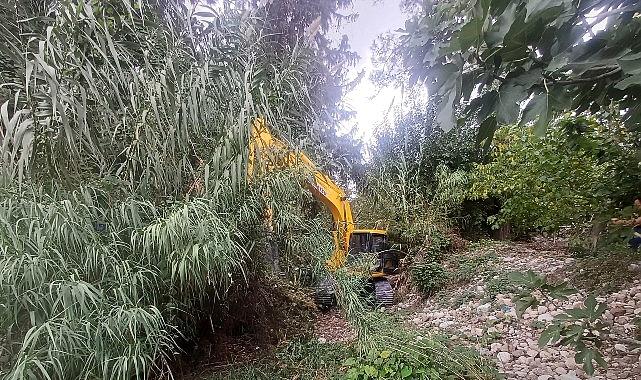 Kemer’de dere paklığı çalışmaları