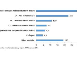 Sanayi Dalı Sonuncu Güç Tüketim İstatistikleri, 2024