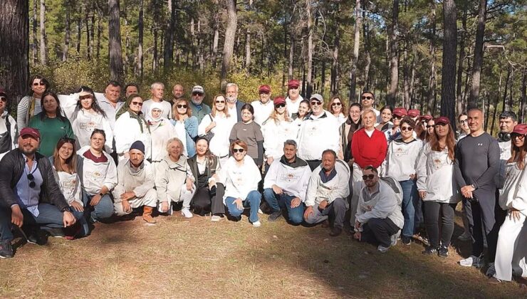 Türk Çam Balı Coğrafi İşaretle Dünyaya Açılmaya Hazırlanıyor