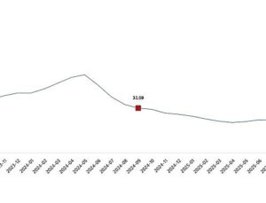 Yurt İçi Üretici Fiyat Endeksi, Eylül 2025