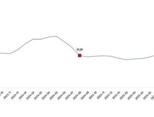 Ziraî Girdi Fiyat Endeksi, Ağustos 2025