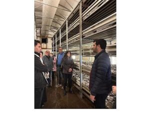 Aday çiftçiler alanda teorik bilgilerini pekiştirdi