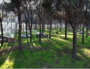 Altınova Mesire Alanı Hizmete Açıldı