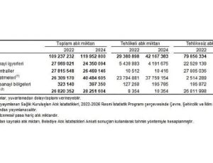 Atık İstatistikleri, 2024
