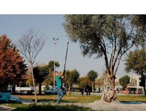 Balçova Belediyesi’nden Kentin Rahmetine Sahip Çıkan Örnek Çalışma