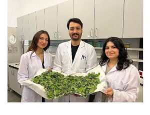 BİLGİ’li öğrenciler antibiyotik direncine karşı yenilikçi ve doğal bir sistem geliştirdi