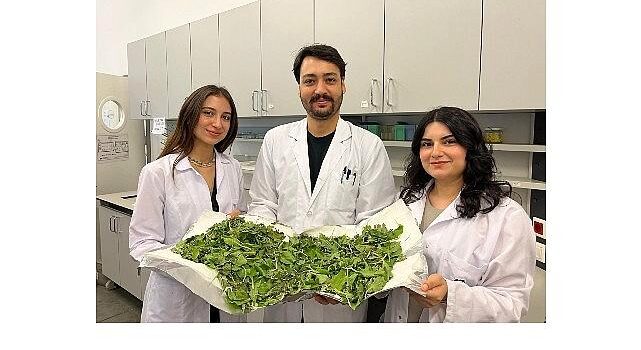 BİLGİ’li öğrenciler antibiyotik direncine karşı yenilikçi ve doğal bir sistem geliştirdi