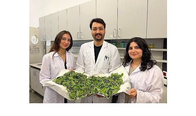 BİLGİ’li öğrenciler antibiyotik direncine karşı yenilikçi ve doğal bir sistem geliştirdi