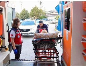 Burhaniye Belediyesi “Evde Bakım Hizmetleri” Devam Ediyor