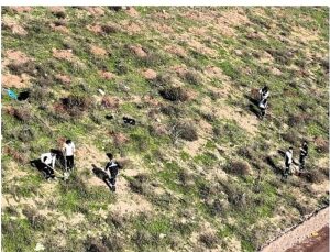Büyükşehir’in dokunuşlarıyla Kocaeli yeşile doyuyor