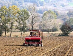 Büyükşehir’in hibeli tohumları toprakla buluştu