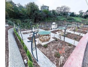 Canik’te Park Seferberliği: Park Alanları 144 Bin Metrekareye Yükseldi
