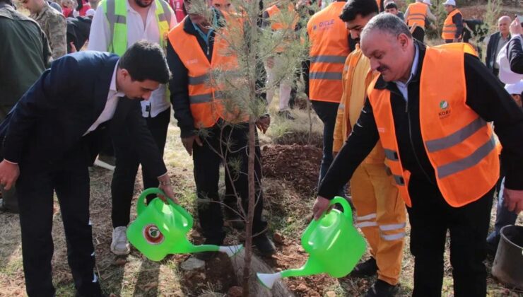 DEPSAŞ Enerji’den Makam Dağı’na  3 Bin Fidanlık Yeşil Dokunuş