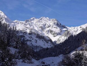 Eight skiers rescued alive after avalanche at Austria’s Stubai Glacier