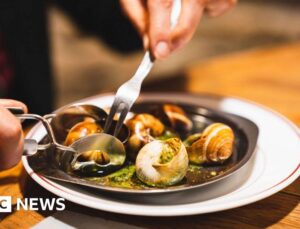 French farm has €90,000 worth of snails stolen