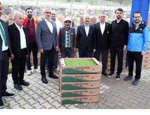 Gebzeli çiftçiye 500 bin zerzevat fidesi