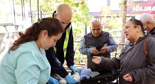 Hayvanlara yerinde tedavi