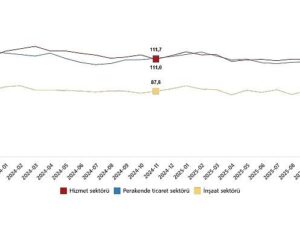 Hizmet, Perakende Ticaret ve İnşaat İtimat Endeksleri, Kasım 2025