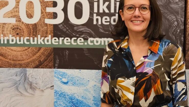 İklim Endeksi Yayınlandı:  Dünya İlerleme Kaydediyor, Türkiye Yerinde Sayıyor