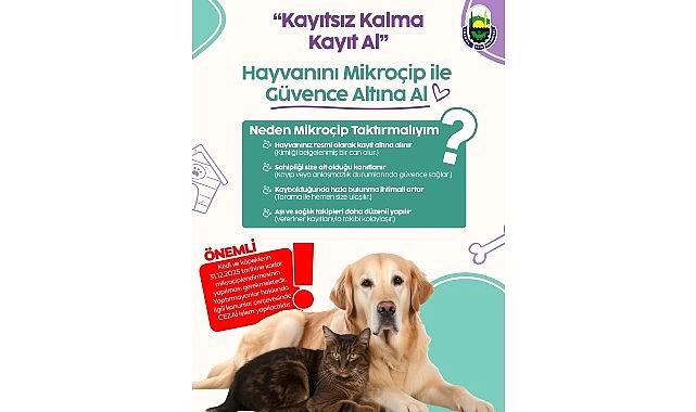 İnegöl Belediyesi’nden Konutunda Kedi-Köpek Besleyenlere Mikroçip Uyarısı